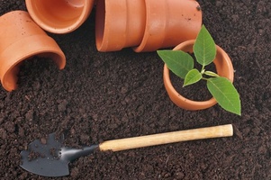 Уход за цветами