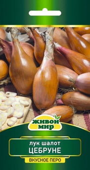 Лук шалот Цебруне (W. Legutko) 0,5 г, РБ