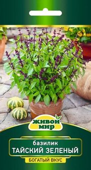 Базилик Тайский зеленый (W. Legutko) 0,3 г, РБ