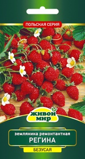 Земляника ремонтантная Регина (W. Legutko) 0,1 г, РБ