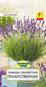 Лаванда узколистная Лекарственная (Sativa) 0,3 г, РБ