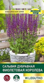 Сальвия дубравная Фиолетовая Королева (W. Legutko) 0,3 г, РБ