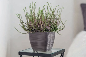 Горшки для дома и улицы