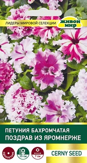 Петуния крупноцветковая бахромчатая Поздрав из Яромнерже (Cerny seed) 10 шт, РБ