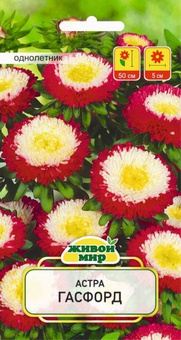 Астра Гасфорд (W. Legutko) 0,3 г, РБ