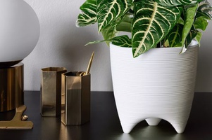 Коллекция Де Коста