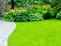 Как вырастить хороший газон