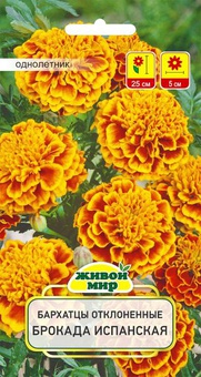 Бархатцы откл. Брокада испанская (W. Legutko) 1 г, РБ