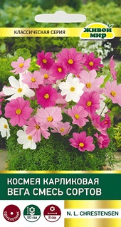 Космея Вега карликовая смесь сортов (N.L.Chrestensen) 1 г, РБ