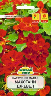 Настурция малая Махогани Джевел (W. Legutko) 1 г, РБ