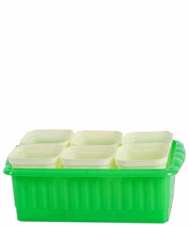 Рассадник "Дом и Дача" на 6 стаканчиков, РФ