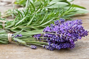 Лекарственные травы