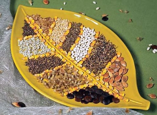 где можно купить семена, купить семена цены, купить семена наложенным, купить семена наложенным платежом, купить голландские семена, купить семена в розницу, семена растений купить, купить семена недорого, семена почтой, каталог семян