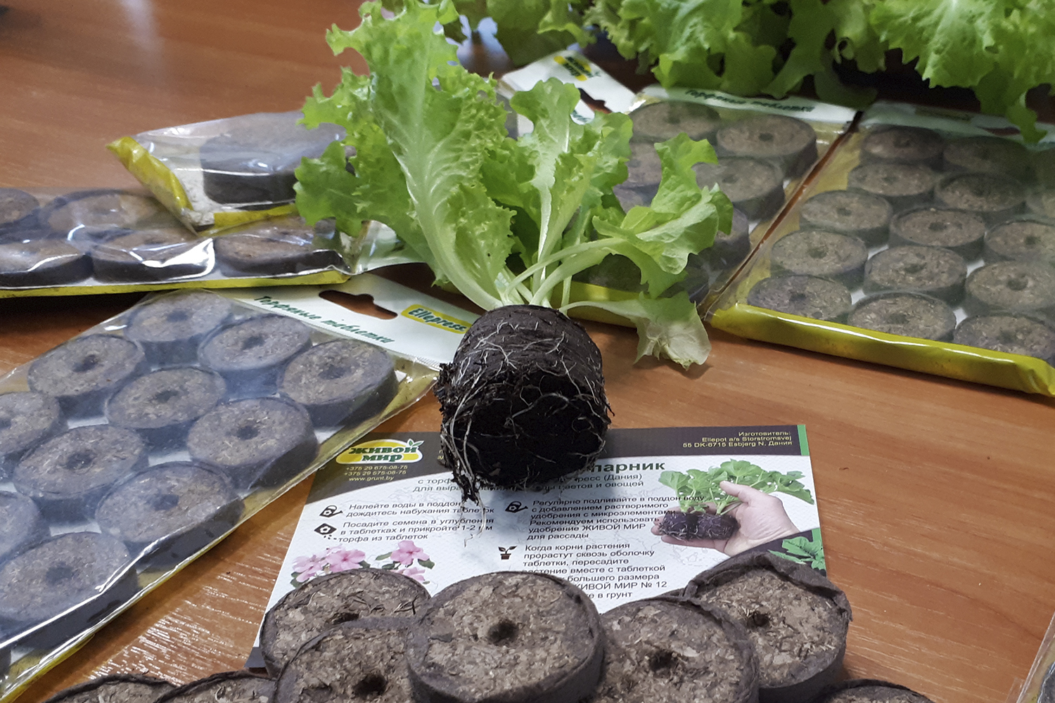 Торфяные таблетки